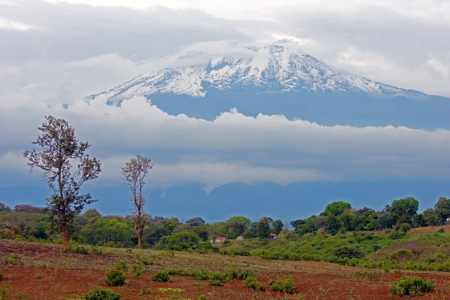Kilimanjaro